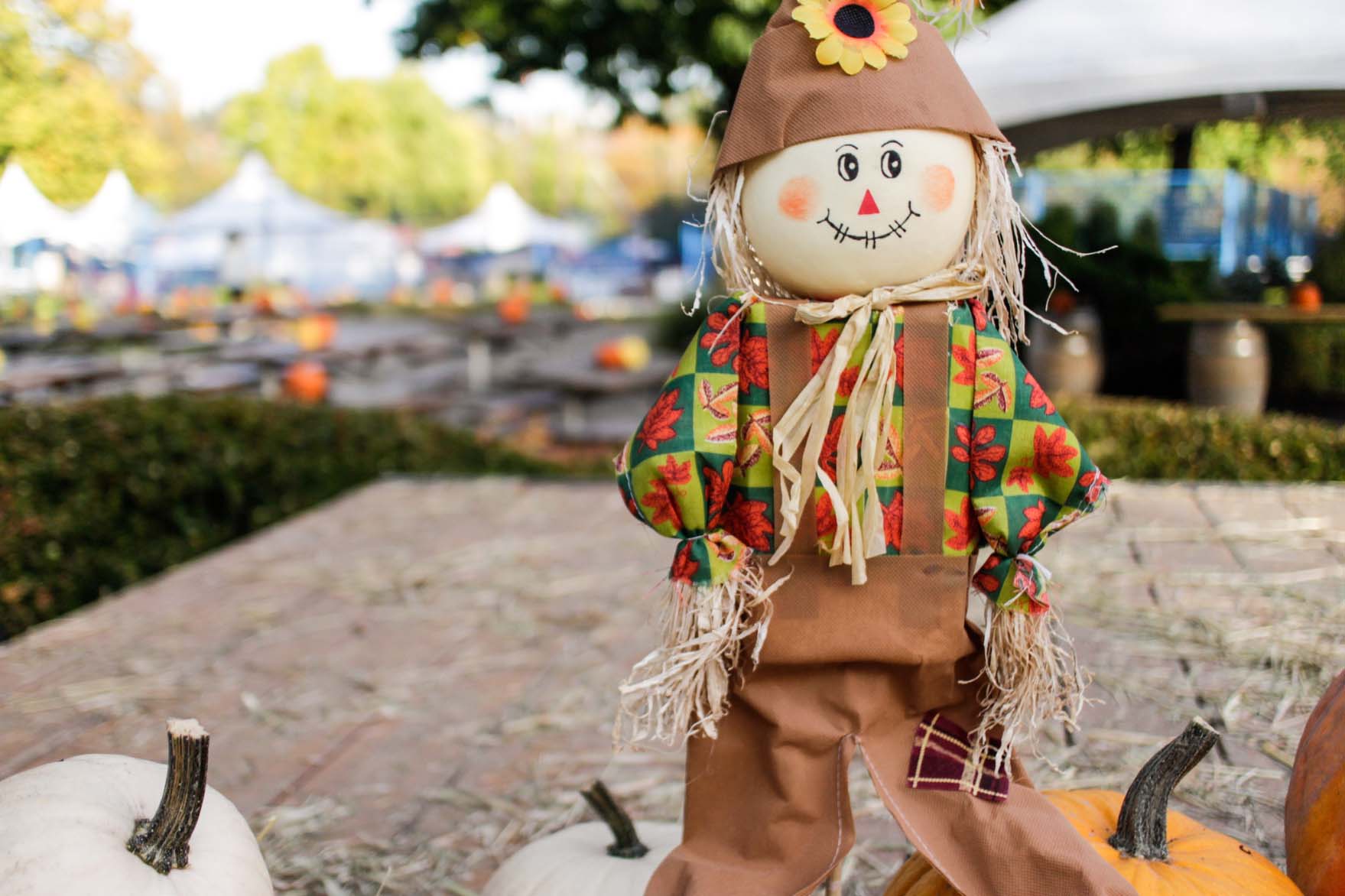 Straw scarecrow doll at harvest festival in Kuna Idaho