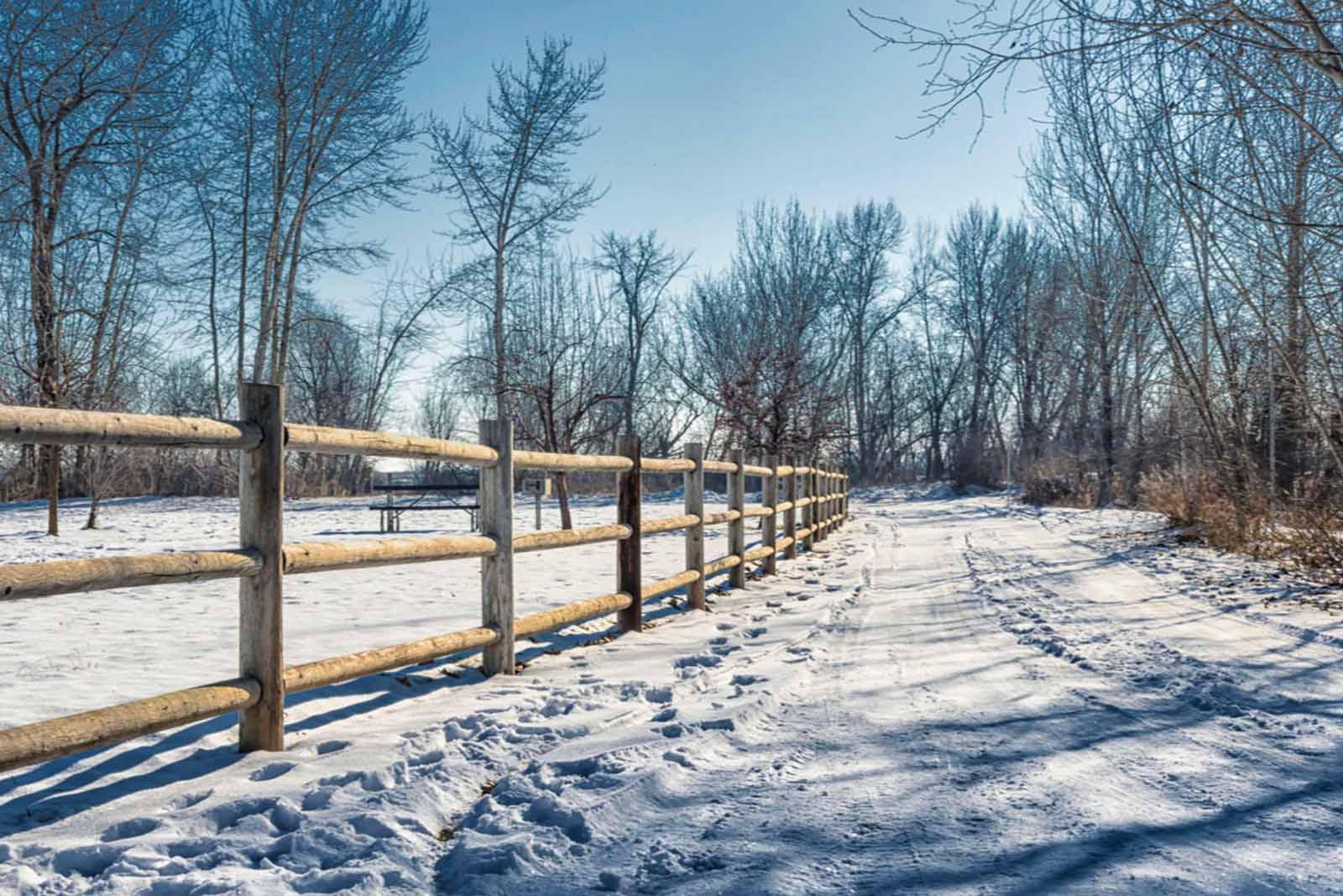 Winter scene in Star Idaho